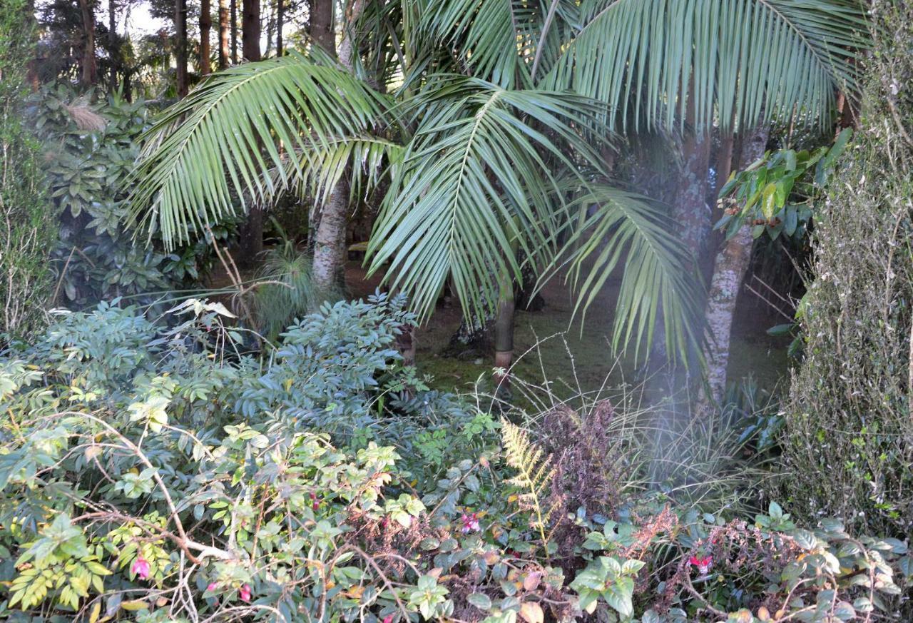 Quinta De Santana - Queimadas Furnas  Dış mekan fotoğraf