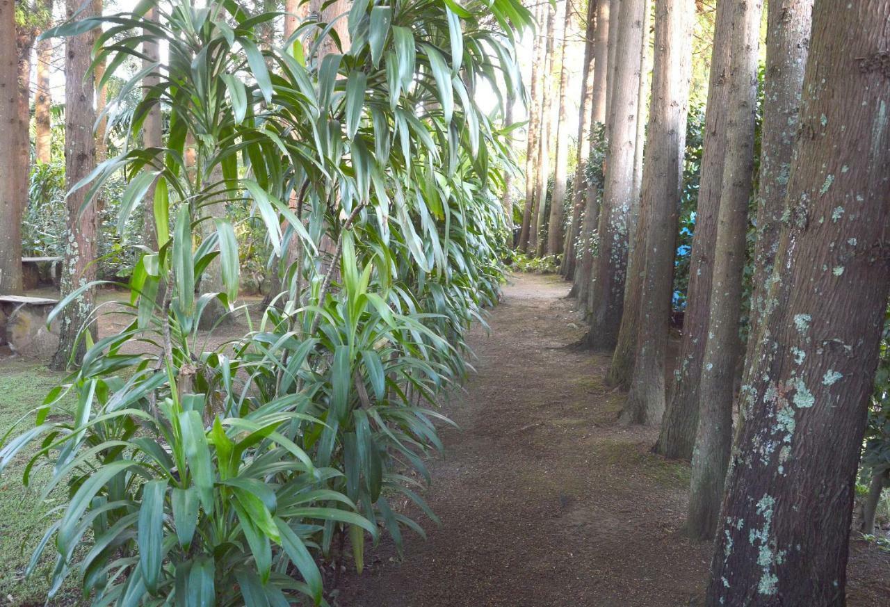 Quinta De Santana - Queimadas Furnas  Dış mekan fotoğraf